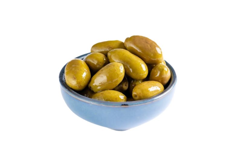 זית סנטה ענק